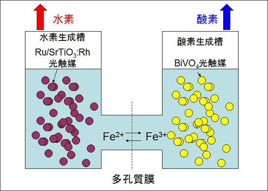 図5 Z-スキーム型粉末光触媒を用いた水の分解反応における水素および酸素の分離生成