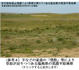 羊などの家畜の「禁牧」等により草原が戻りつつある塩池県の荒漠平原地帯