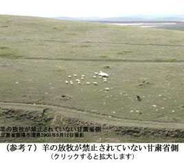 羊の放牧が禁止されていない甘粛省側
