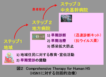 図２　Comprehensive Therapy for Human H5（H5N1に対する包括的治療）