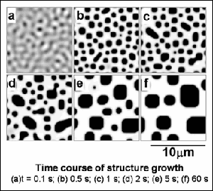 図３　ＴＩＰＳプロセスでの膜構造成長の解析