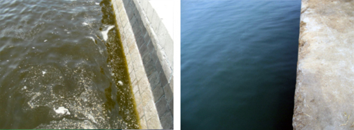 図2　青島近海の赤潮処理における改質粘土の応用