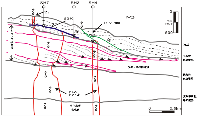 図2 南海北部大陸棚ハイドレートボーリング調査エリアの天然ガスハイドレート分布地質モデル