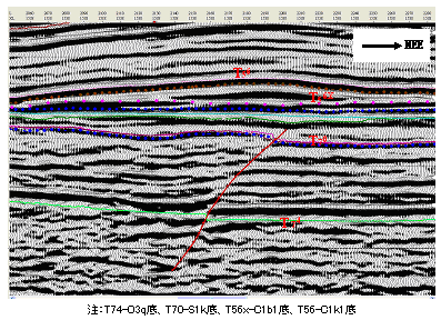 図8　塔河西南部⑨号「油源断層」の三次元地震断面説明