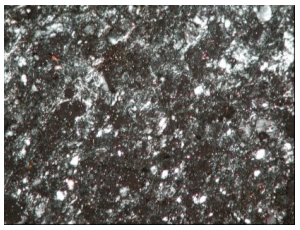 図9　S112井-5311.09－5312.06m S1k：赤色の片状石英砂岩：構造応力による片状構造の誕生