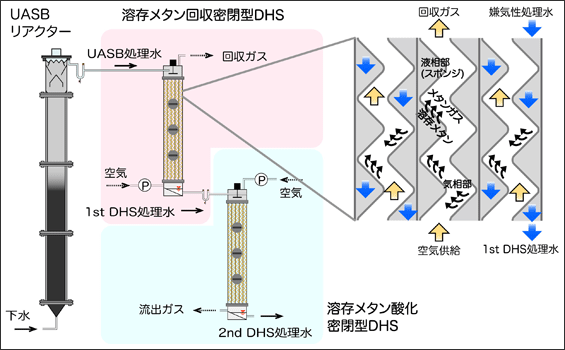 図４　下水処理UASBリアクターと密閉型DHSによる溶存メタン放散防止