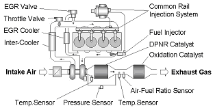 図2　DPNRシステムの概要図