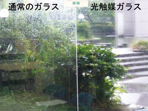 図3　雨の日における通常のガラス（左）と光触媒ガラス（右）