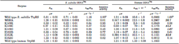 表2　異なるTrpRSを用いて測定した枯草菌及びヒトtRNATrpのアミノアシル化活性