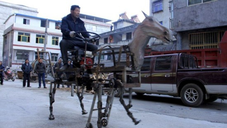 湖北省の個人発明家 ロボット馬を発明 Scienceportal China