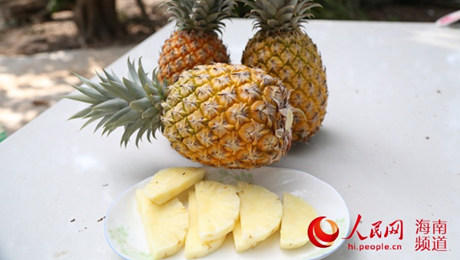 ピリピリしないパイナップルの食べ方は塩水よりもレンジ Scienceportal China