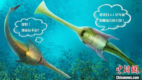 古代魚王国」で4億1000万年前の泳ぐ「トライデント」初発見 | SciencePortal China